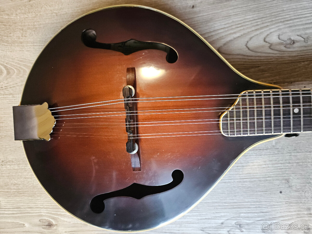 Celomasivní mandolína FURCH Ma 2 A - 6