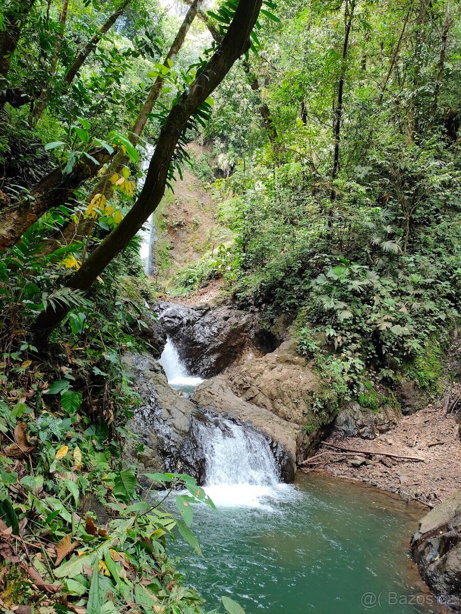 Farma Kostarika Golfito - 6