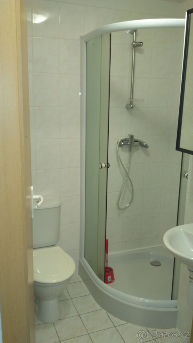 Pronájem bytu 1+kk - 6