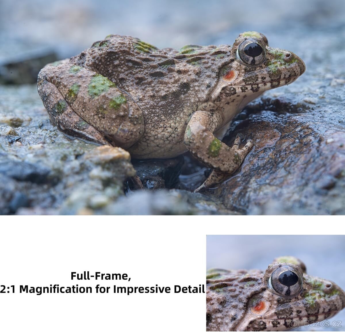 Pergear 100mm F2.8 Full Frame 2X Ultra Macro L mount, nové - 6