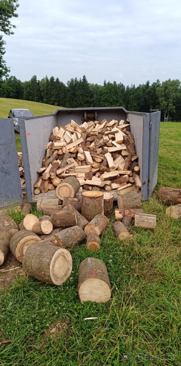 Dubové kůly a palivové dřevo - 6