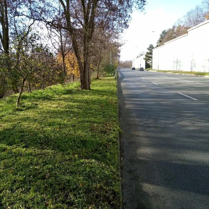 Údržba zeleně - 6