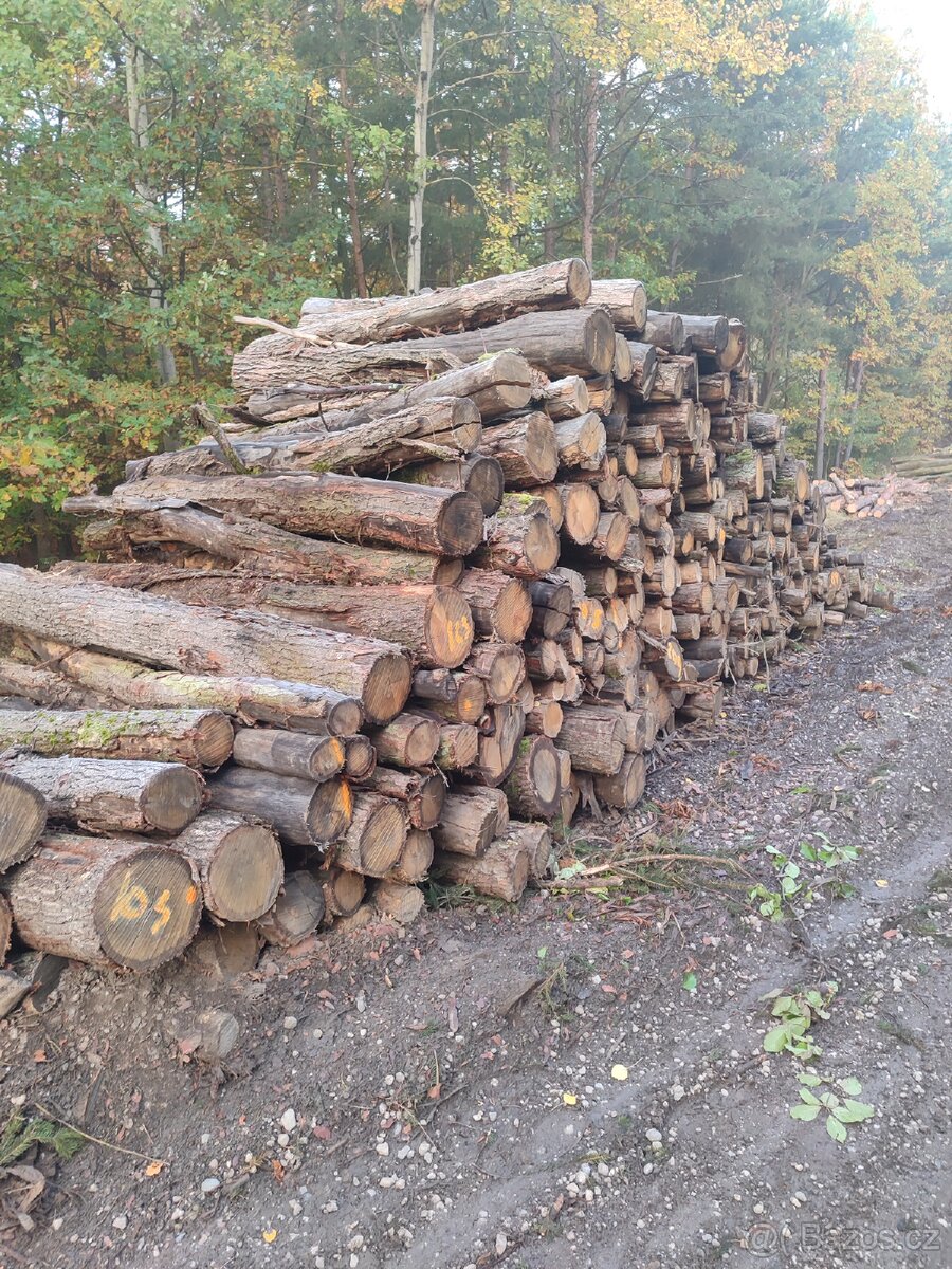 Levné palivové dřevo Žatec ( AKCE vše suché) - 6