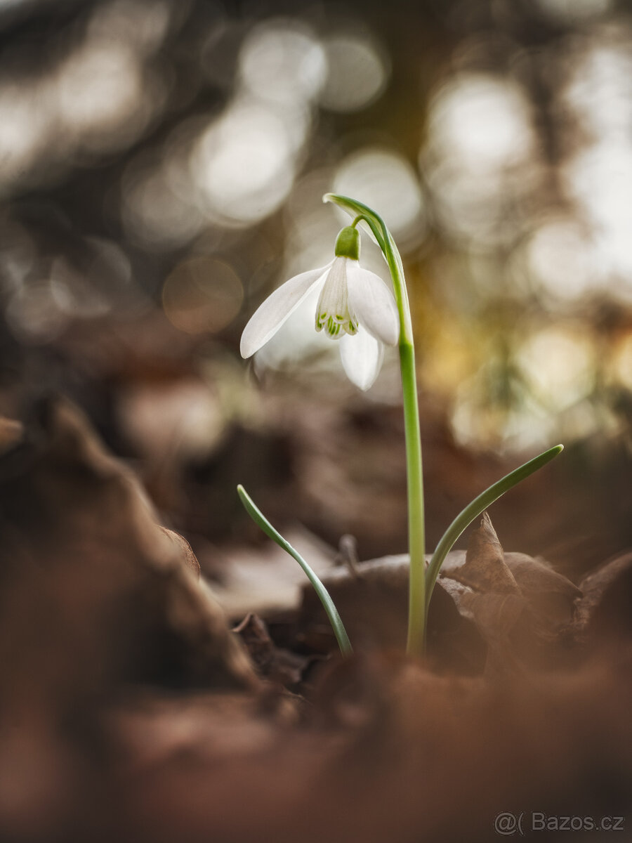 Meopta Anaret 50/4,5 Sony E a další - 6