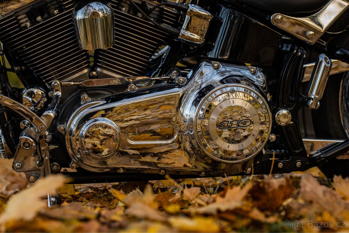 Harley - Davidson Springer CVO 110 - 6