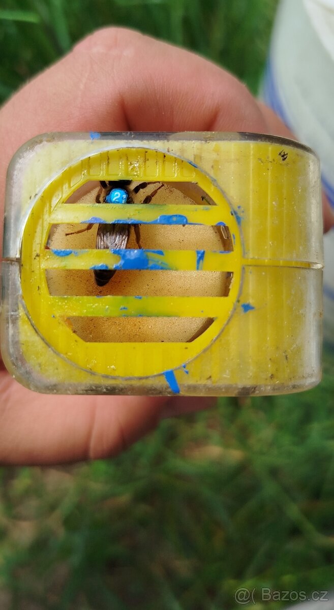 Včelí oddělky 2026 na rám. míře 39x24 - 6