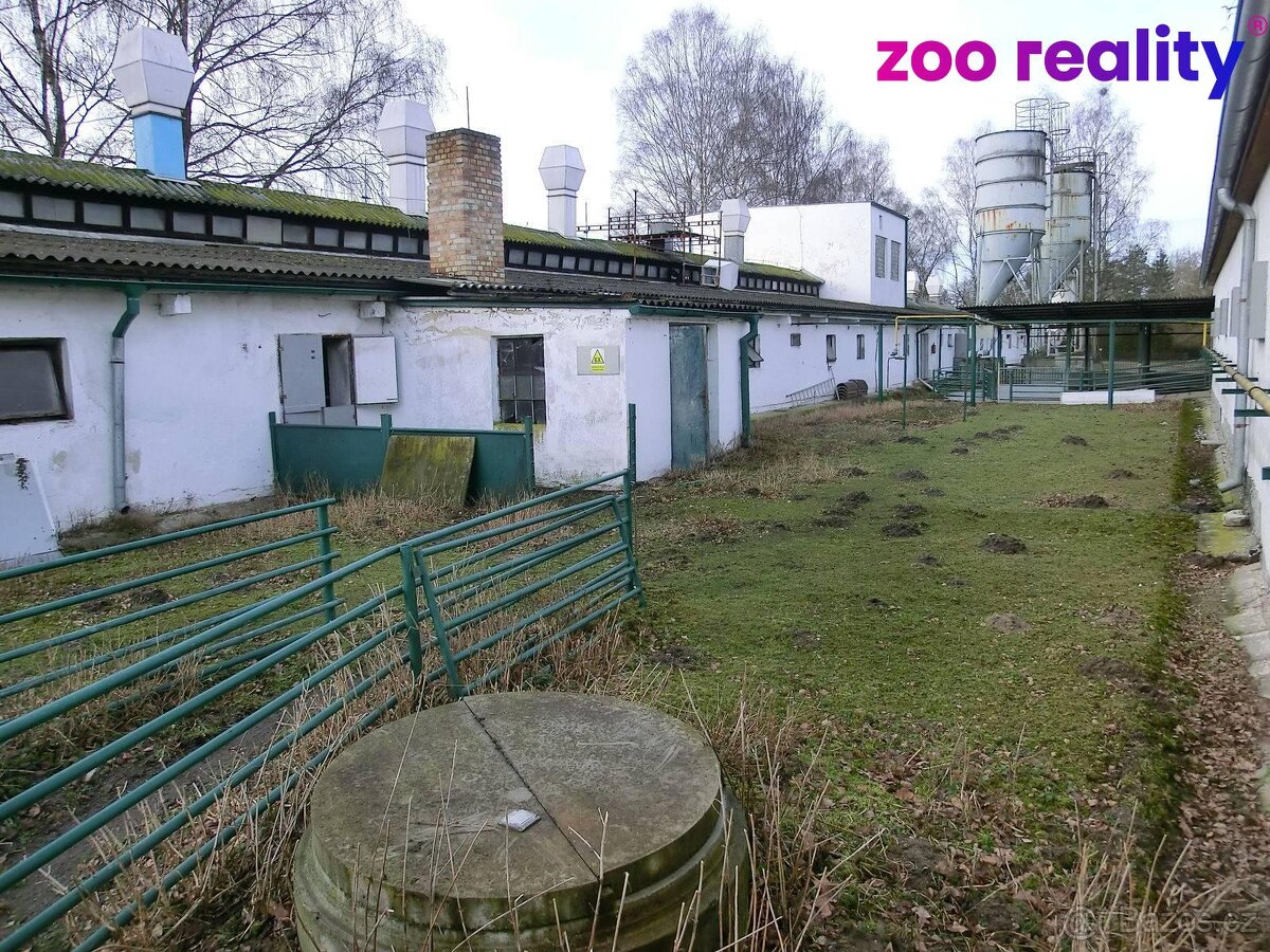 Prodej, Zemědělský objekt, 18720m² - Majdalena - 6