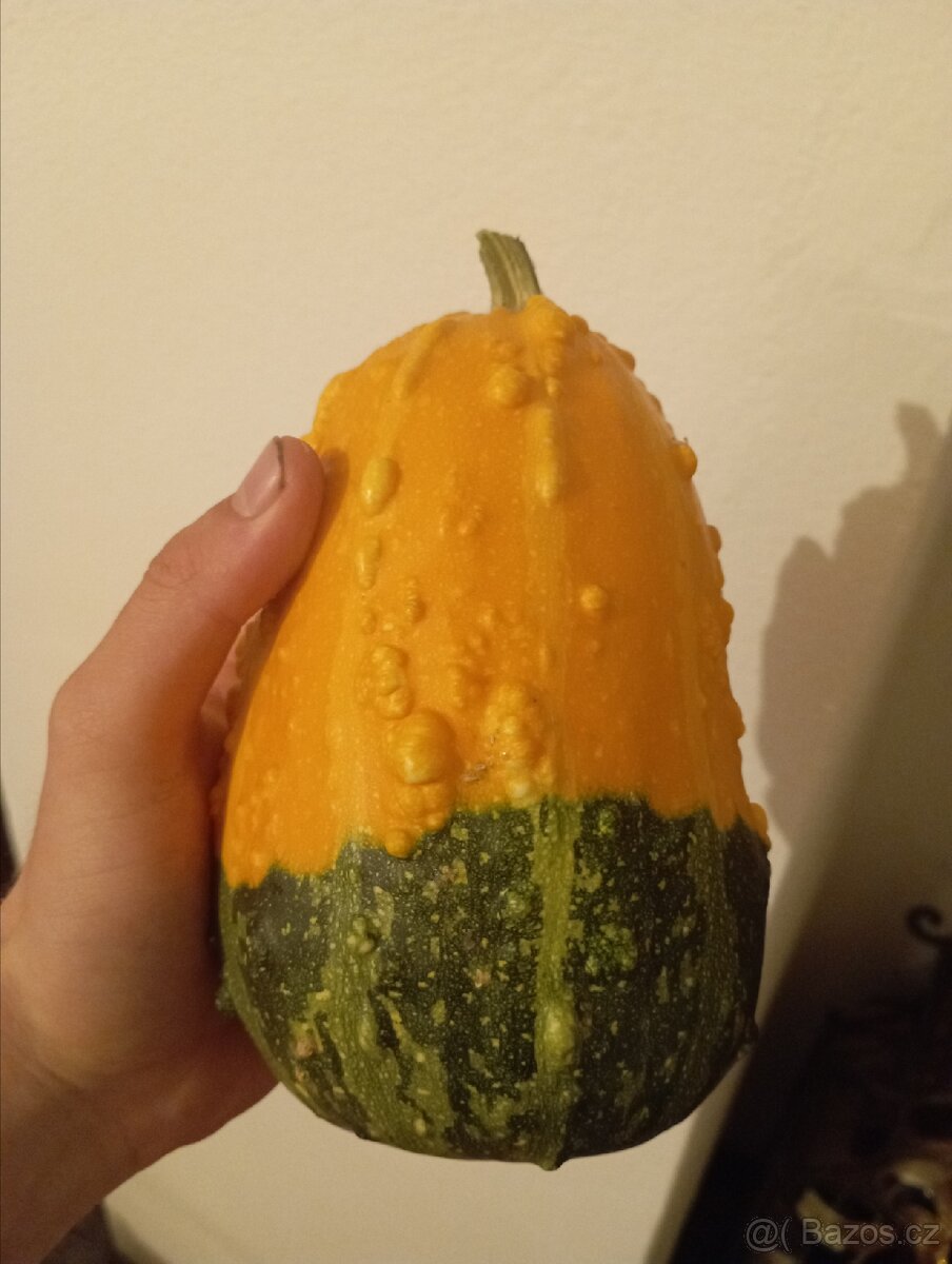Přebytky okrasných dýní, dýně, tykev - 6