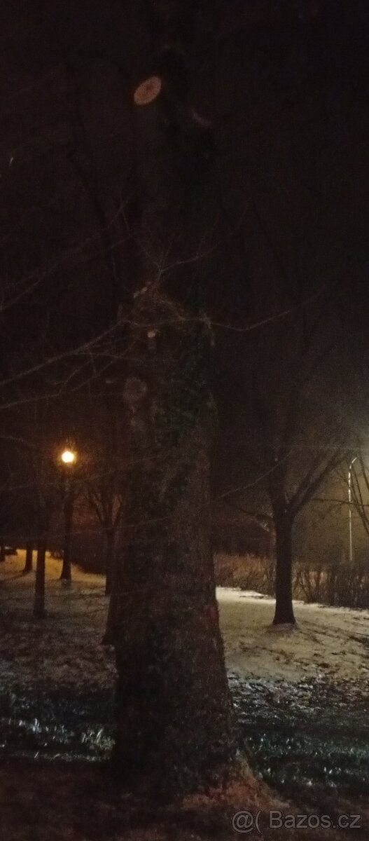 Palivové dřevo - 6