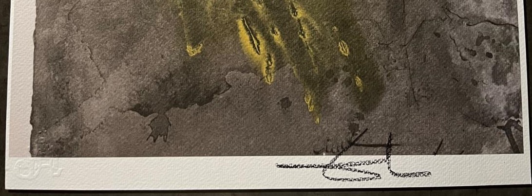 SALVADOR DALI - grafiky - BIBLIA SACRA - 35x50cmp - 6