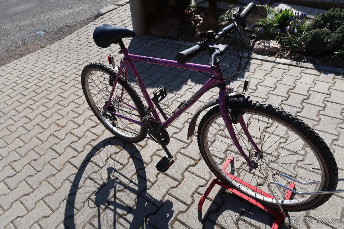 Horské kolo Starlight Swing - 6