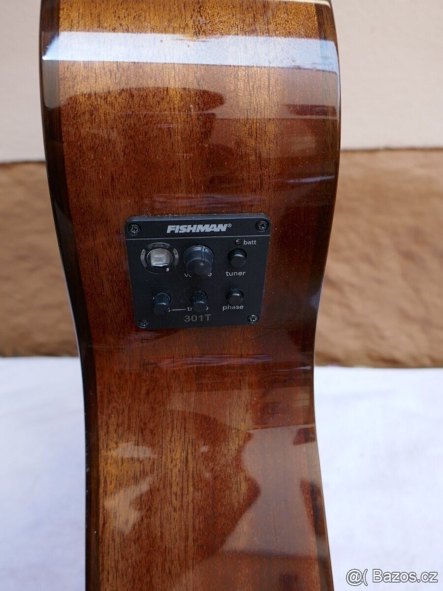 Washburn WLO10SCE Electro Acoustic, Natura - 6