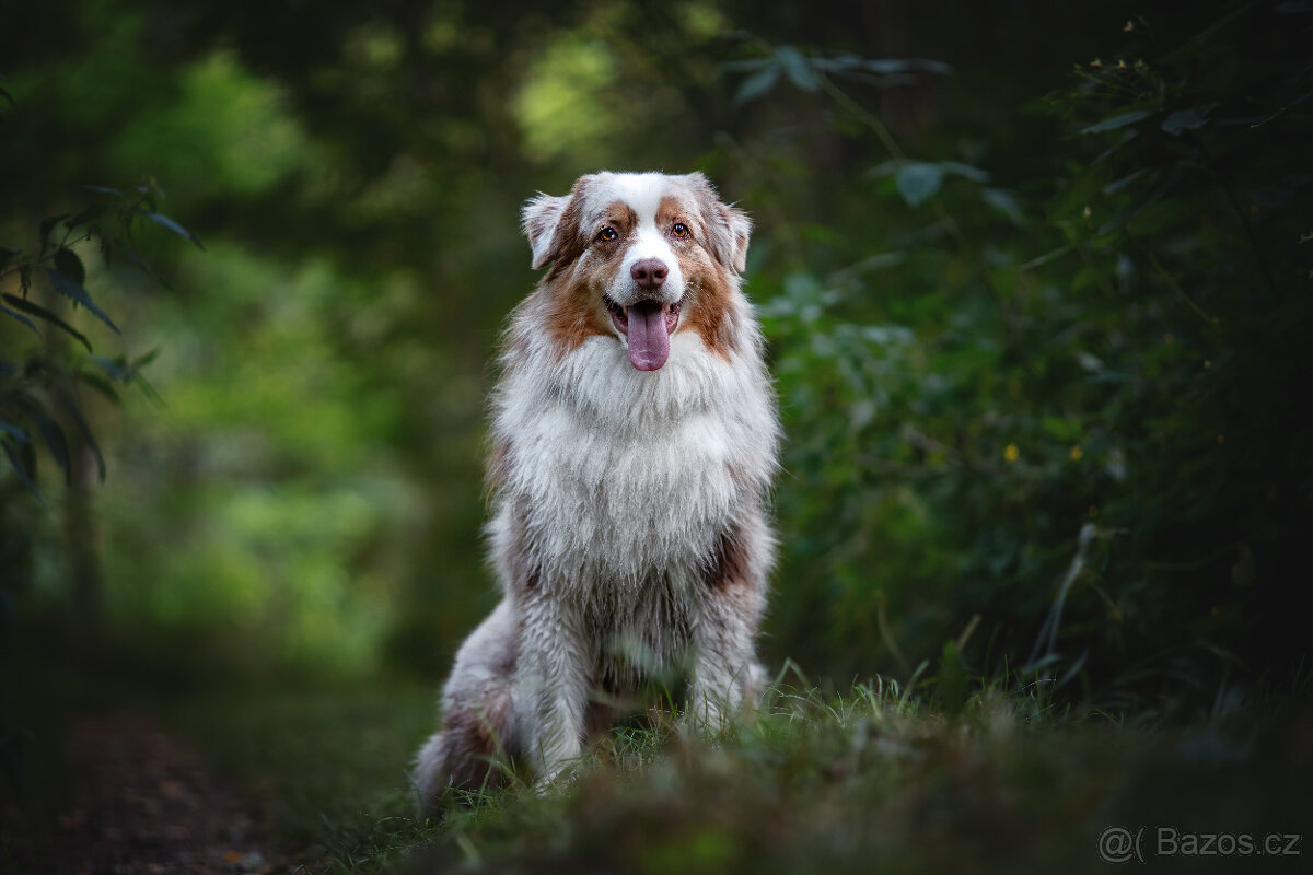 Meopta Meostigmat 92/1,7 Sony E a další - 6