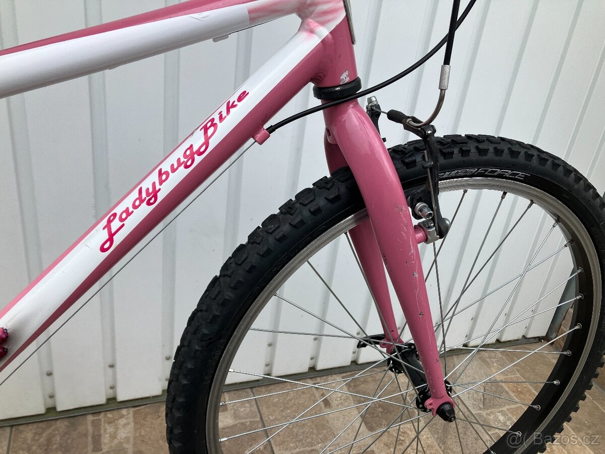 DÍVČÍ KOLO 24 - 6