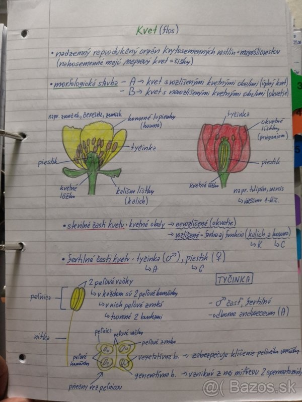 Biologie SŠ výpisky - 6