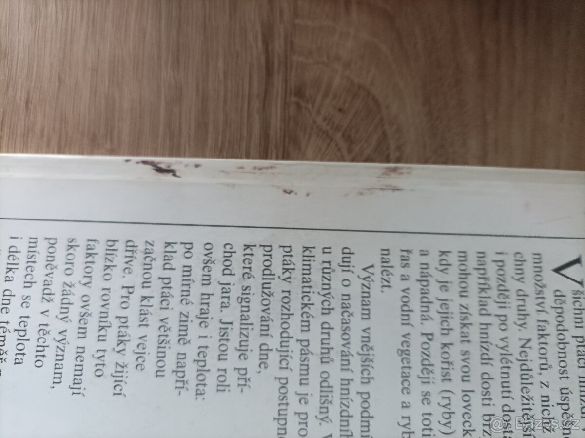 Ptáci / Alderton - 6