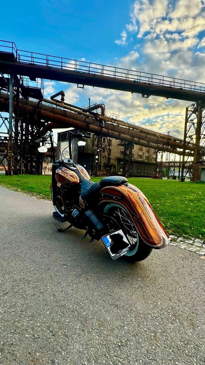 Harley Davidson Softail Slim m8 107” - 6