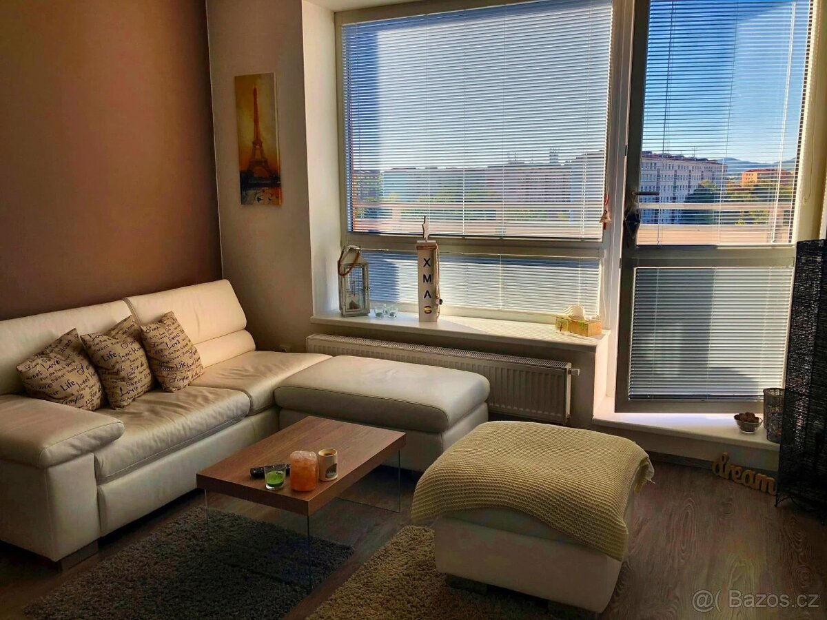 Prodej luxusního bytu 2kk s velkou terasou - 6