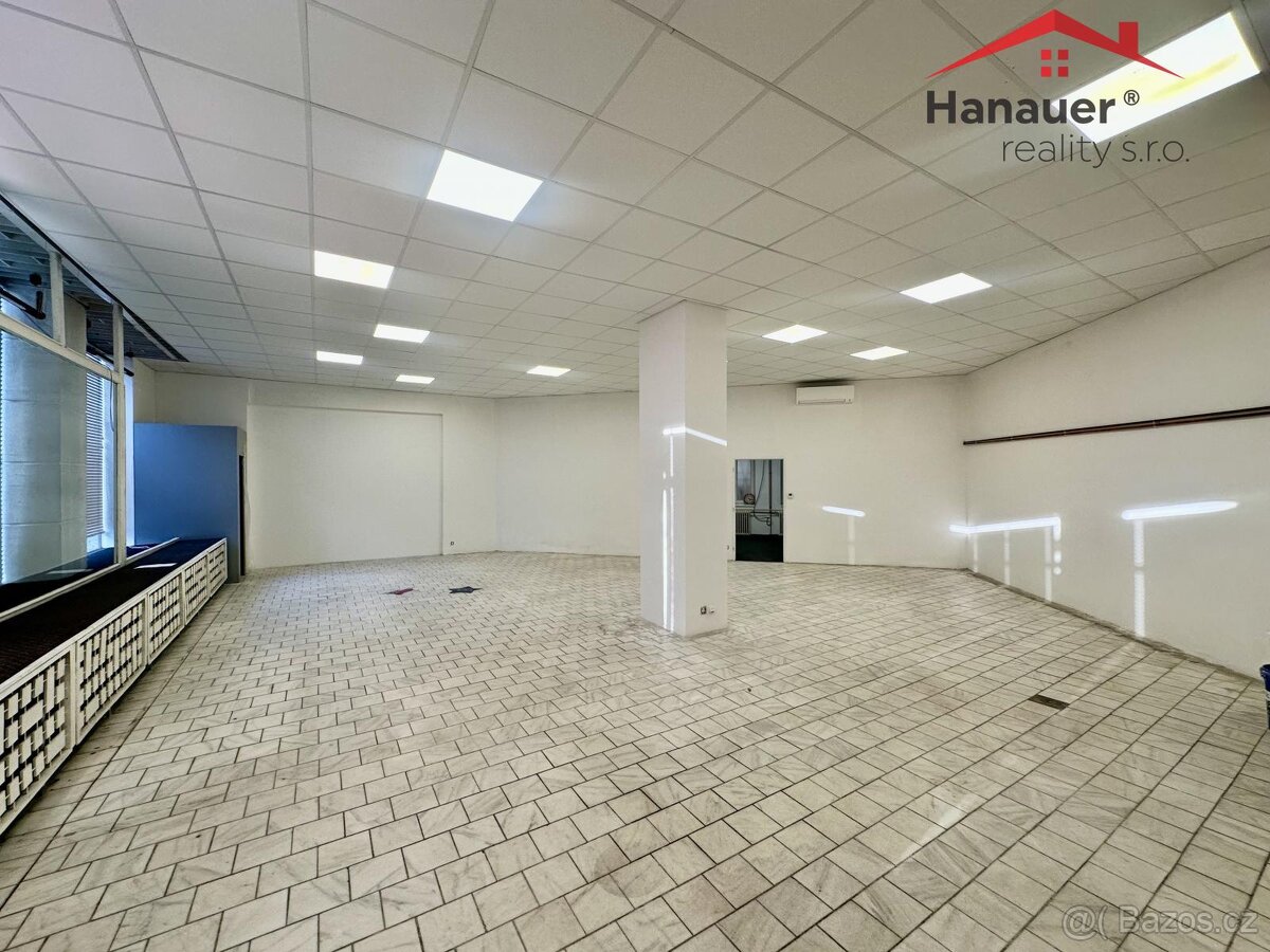 Pronájem obchodního prostoru, 197 m2, Děčín - centrum, ul. - 6