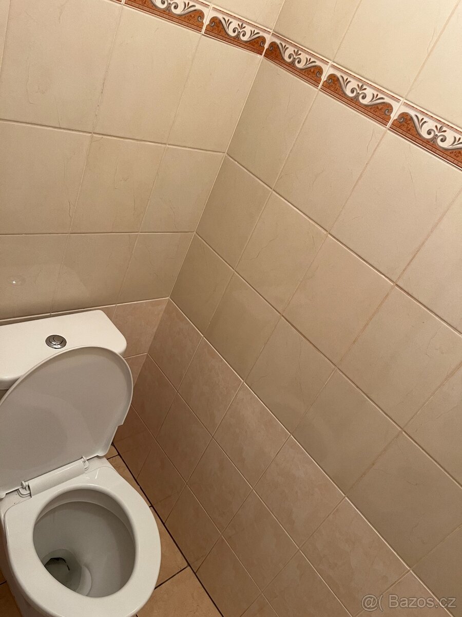 Pronájem bytu v Rožďalovicích - 6