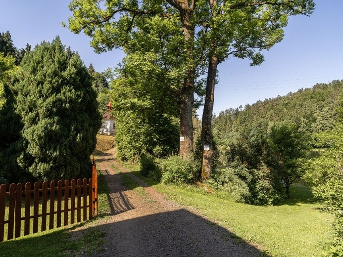 Pronájem chalupy Pastviny - 6