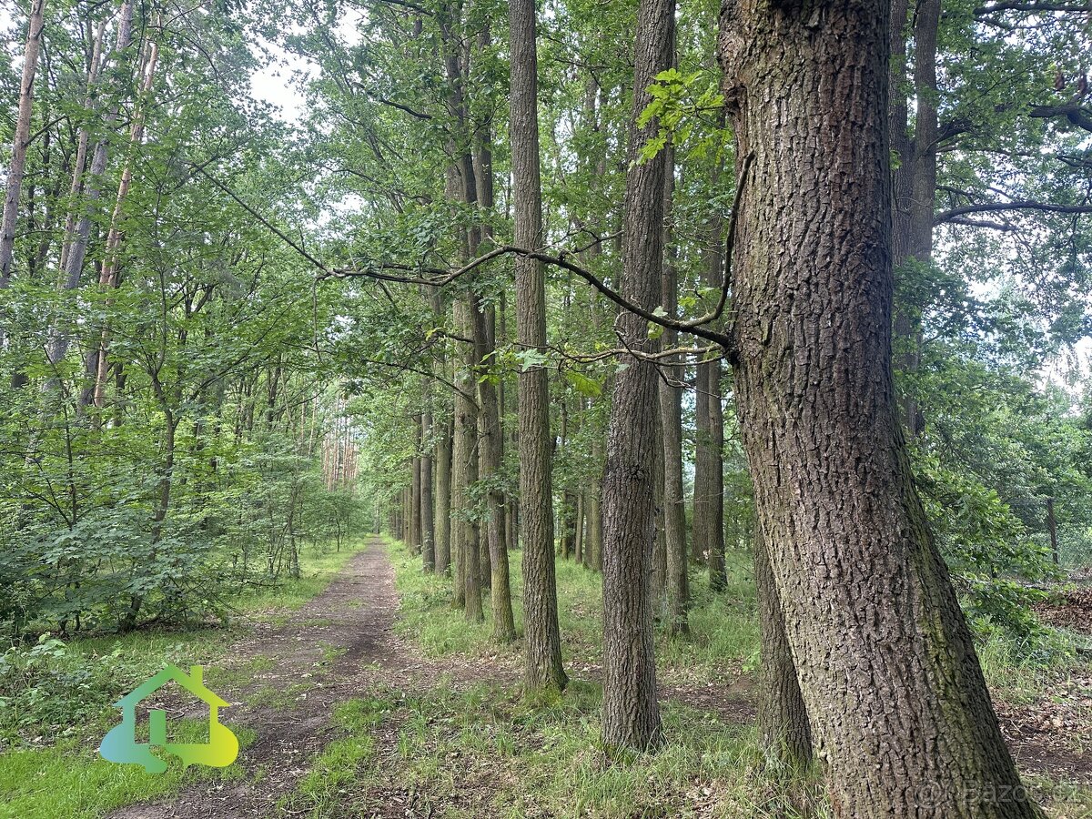 Prodej pozemku pro bydlení, 1132 m² - Klenovice, ev.č. 00722 - 6