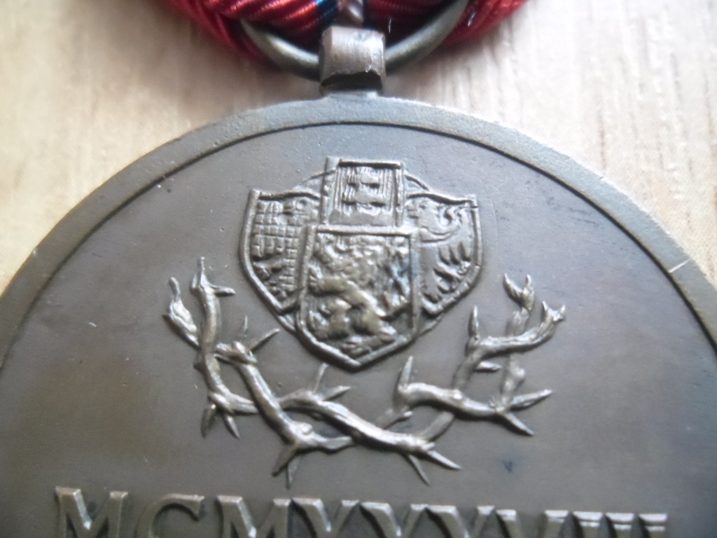 vyznamenání pro Československé dobrovolníky z let 1918-1919 - 6