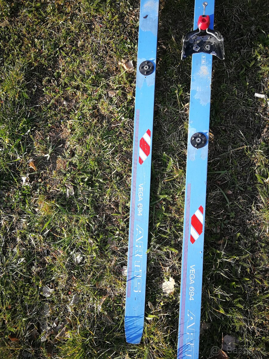 Běžky 180-210cm, hůlky, vázání 75mm Nordic Norm - 6