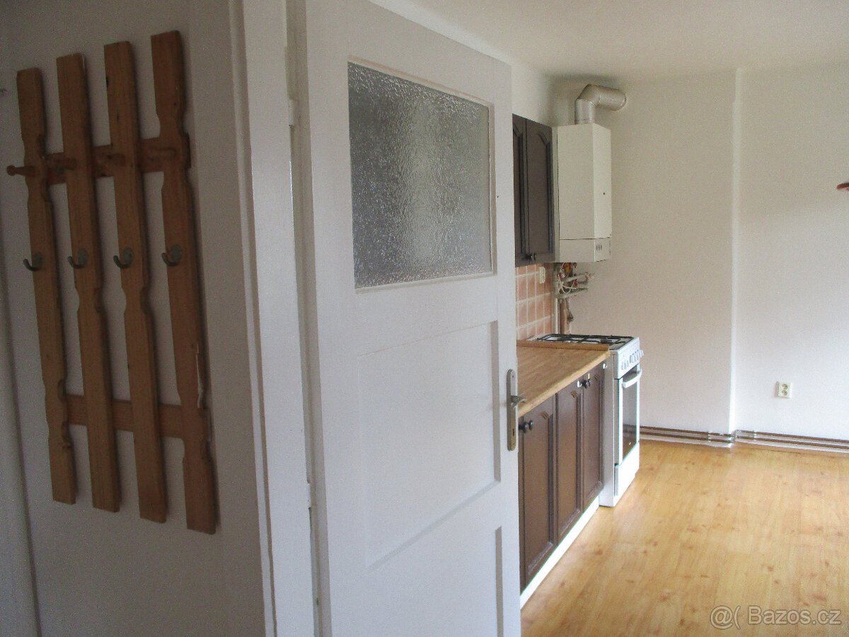 Pronájem bytu 1+1 35m2 v cihlovém domě v Opavě - 6