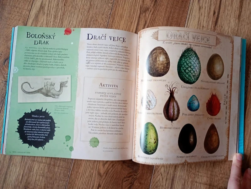 Harry Potter, cesta dějinami čar a kouzel, nová kniha - 6