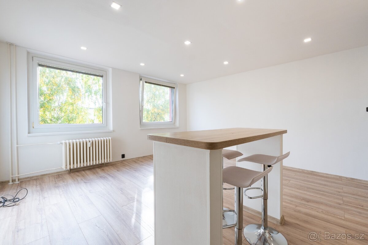 Prodej bytu 2+kk 48 m² Alejní, Chlumec - 6