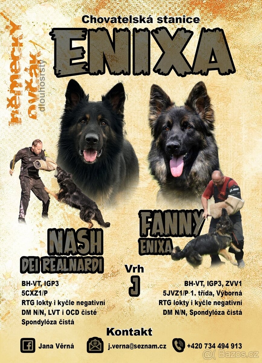 Německý ovčák štěňata - fenky - 6