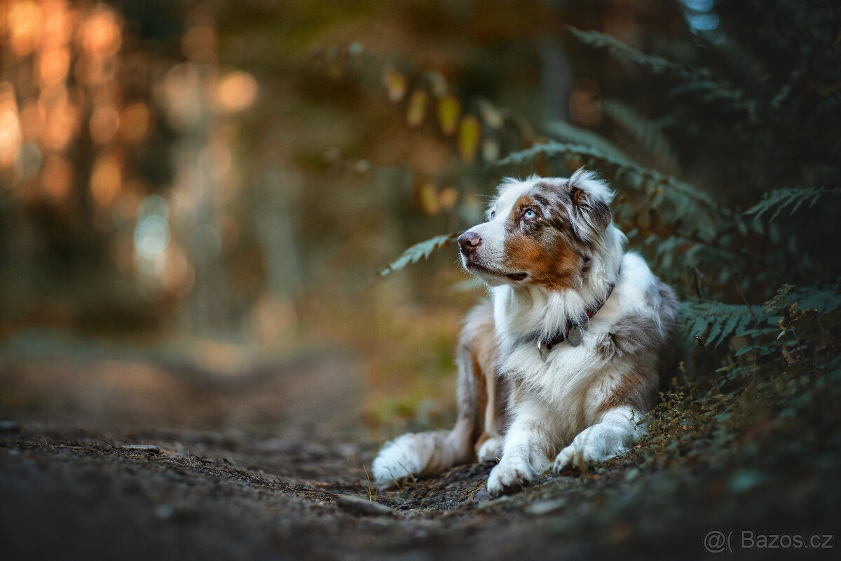 Meopta Meostigmat 109/1,7 Sony E a další - 6