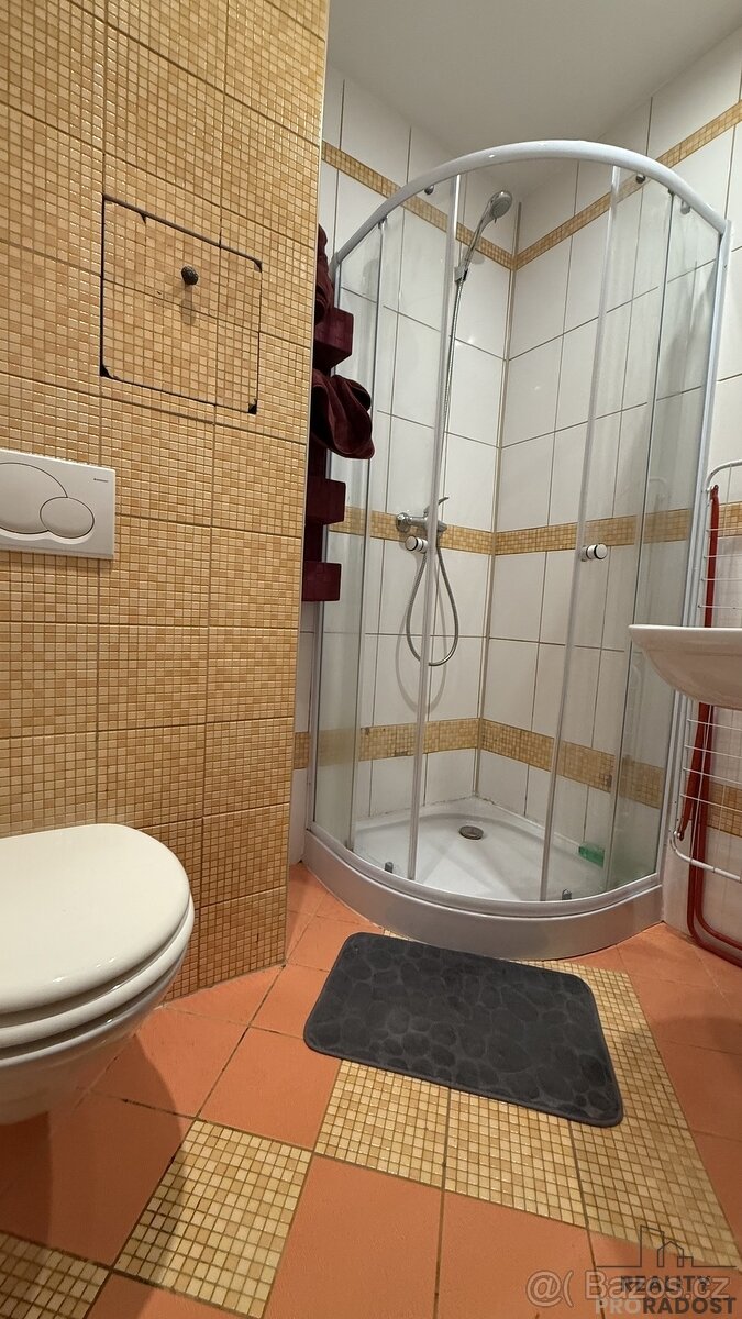 Byt 1+kk 24m²,K.Světlé , Havířov-Podlesí - 6