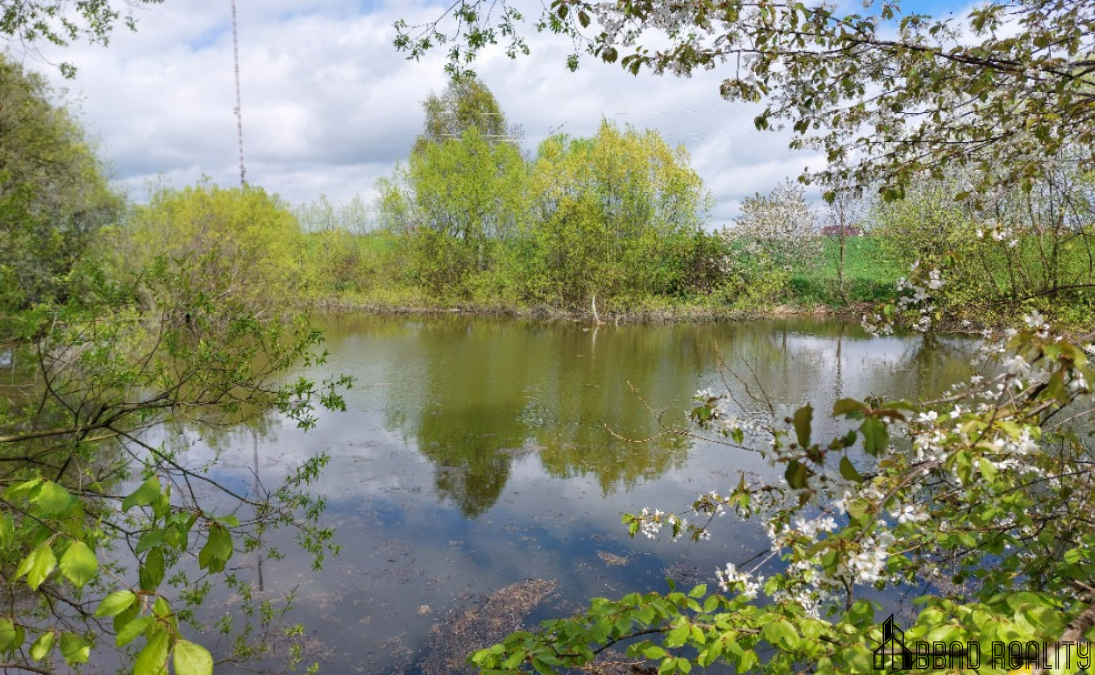 Prodej rybníku – vodní plochy, 12 045 m², Krásensko - 6