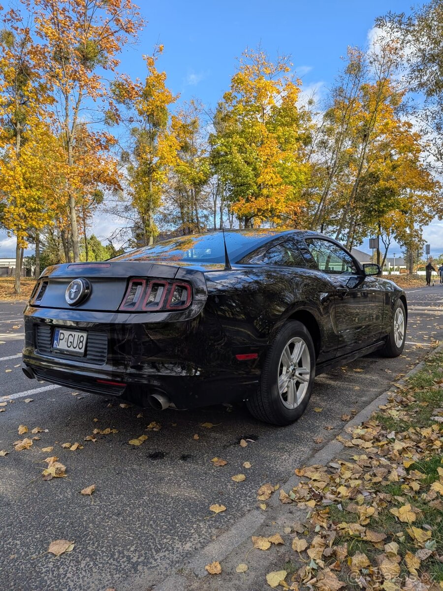 Ford Mustang 3.7 V6 Coupé • 305 KM • Automat • Registrováno - 6