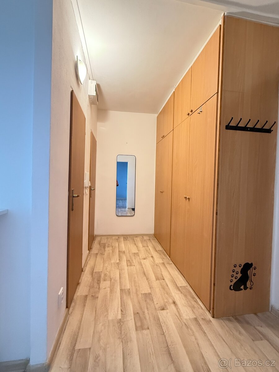 Pronájem bytu 1+1, 36 m2, 12 NP, Ostrava-Poruba ul. J.Skupy - 6