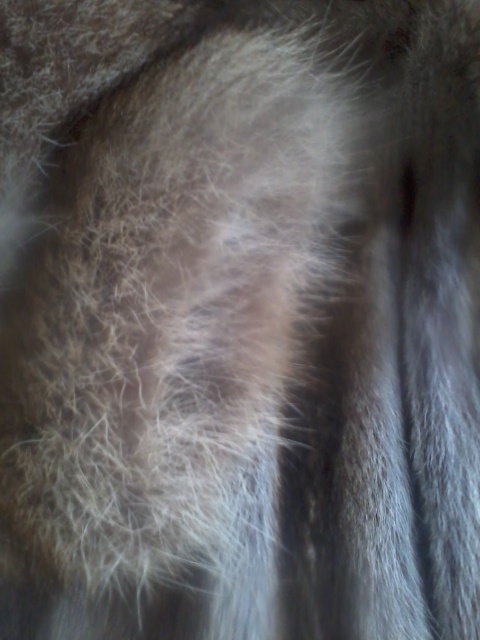 kožich mýval, norek - 6