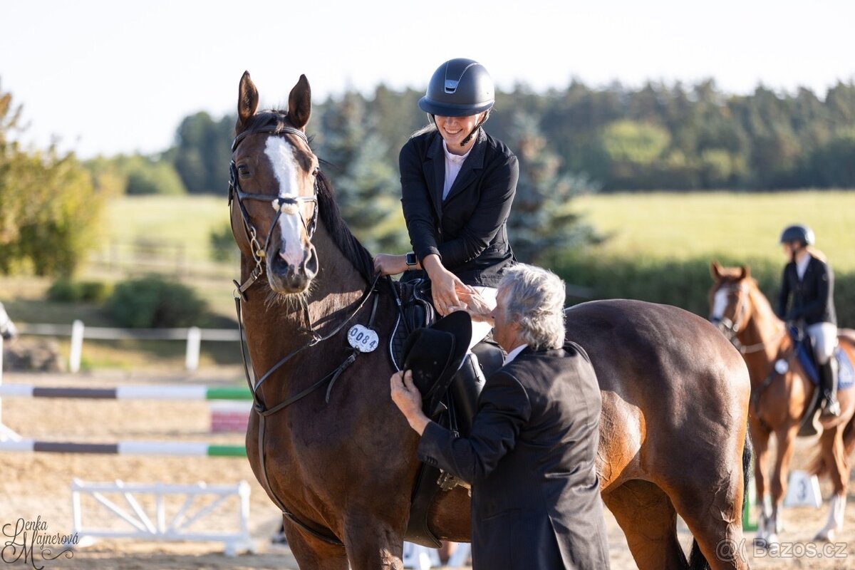 Klisna slovenského teplokrevníka - 6