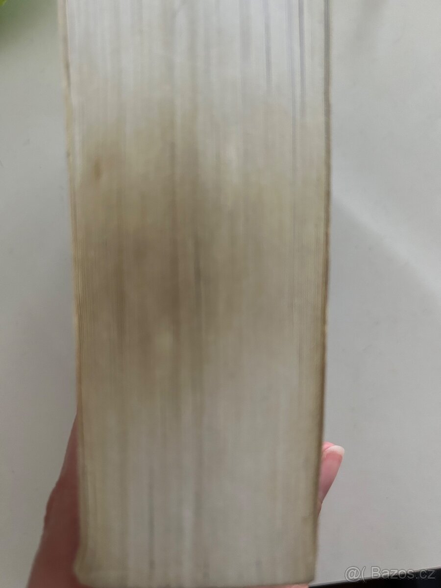 Česko-anglický kapesní slovník - 6