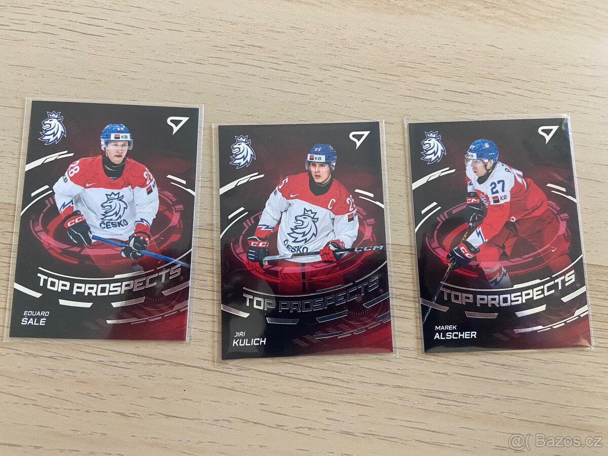 Hokejové Česko 2024 SportZoo 2024 - 6