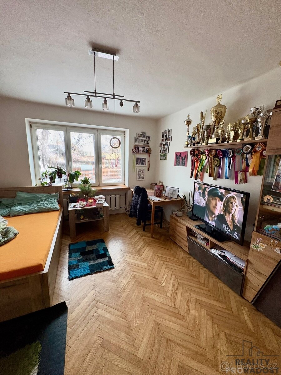 Prodej bytu 3+1 Bystřice pod Hostýnem se zahrádkou - 6