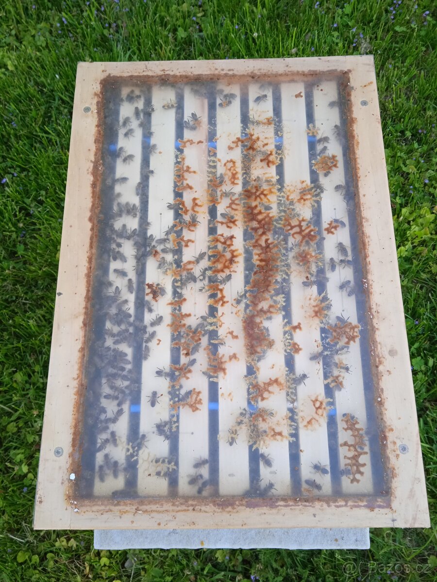Včelí odděleky - 6