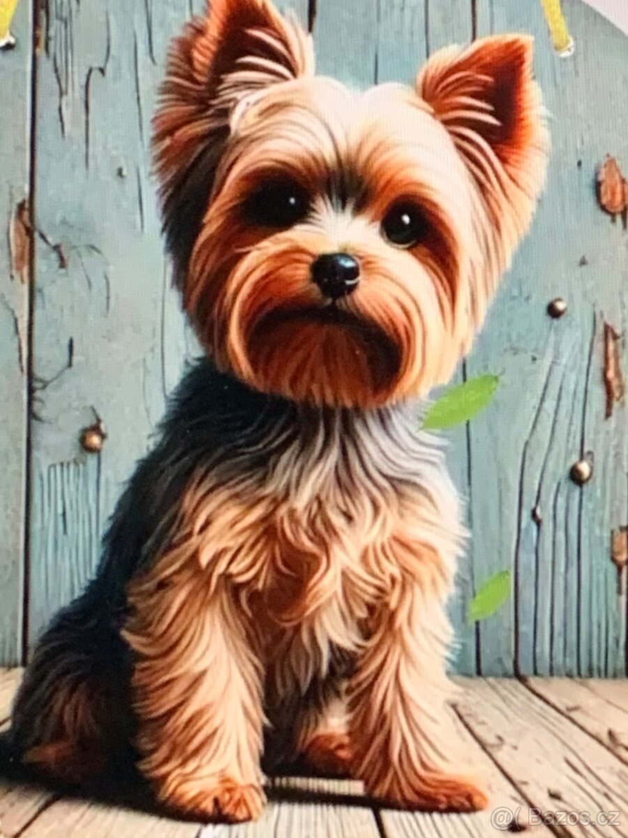 přívěs ,...55cm - 6