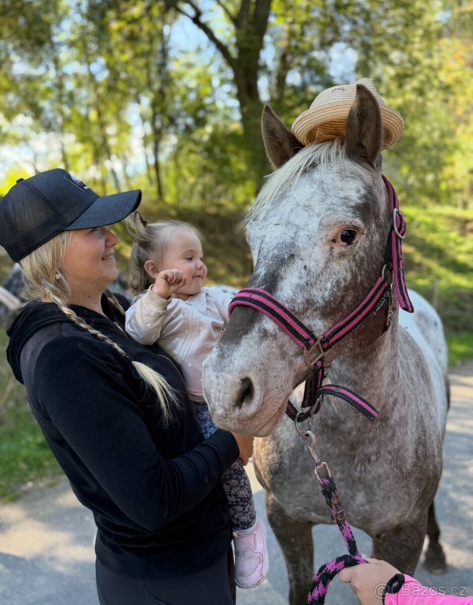 14 letá Appaloosapony - 6