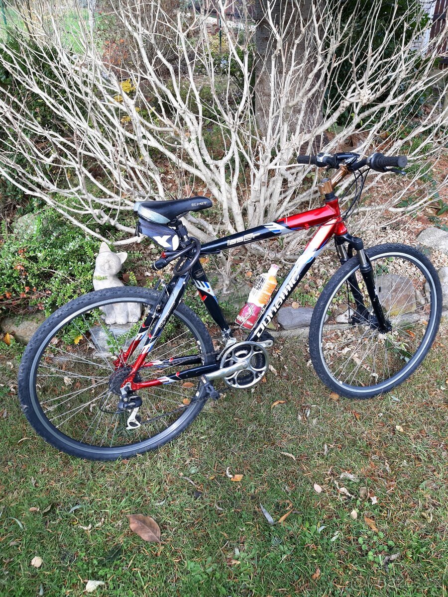 Horské kolo pánské Dynamic - 6