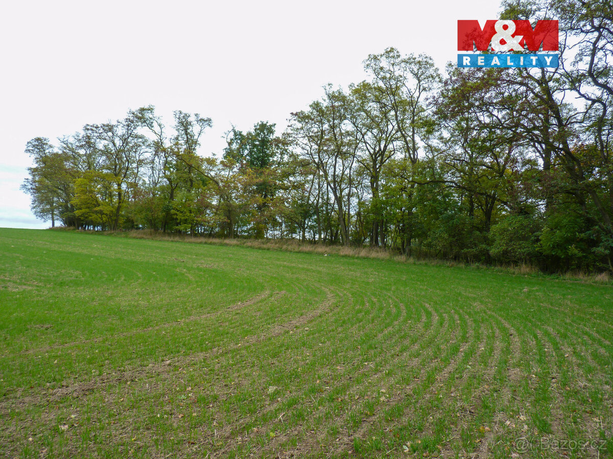 Prodej lesa v Drahobuzi - 6