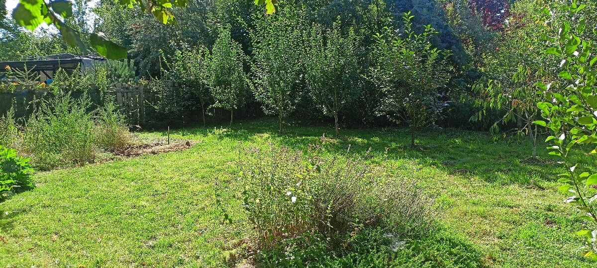 Prodám zahradu - 6