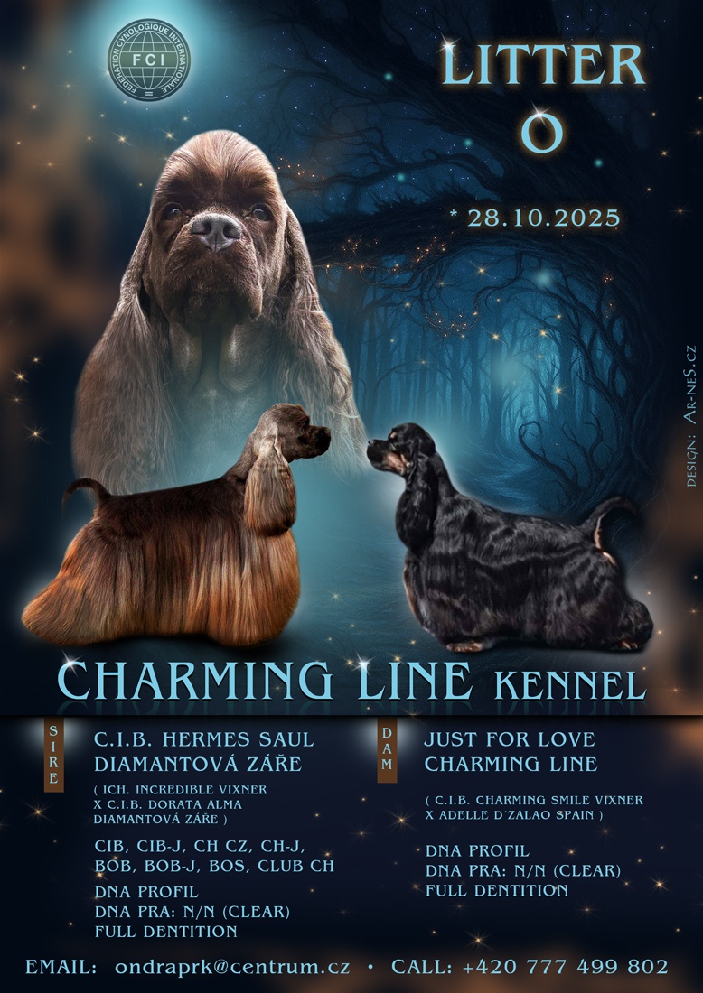 Americký kokršpaněl sPP - 6