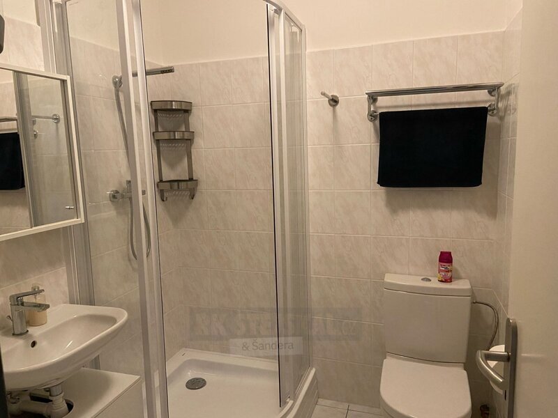 Pronájem bytu 1kk, 22 m2, zahrada, Mánesova ul., České Buděj - 6